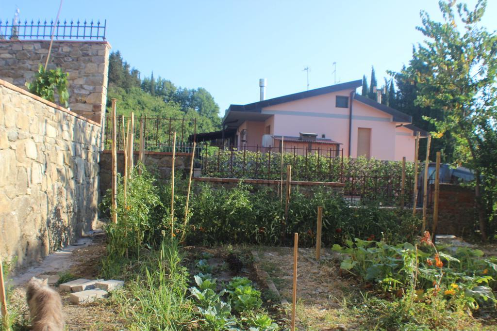Villa Dei Sogni Greve in Chianti Quarto foto